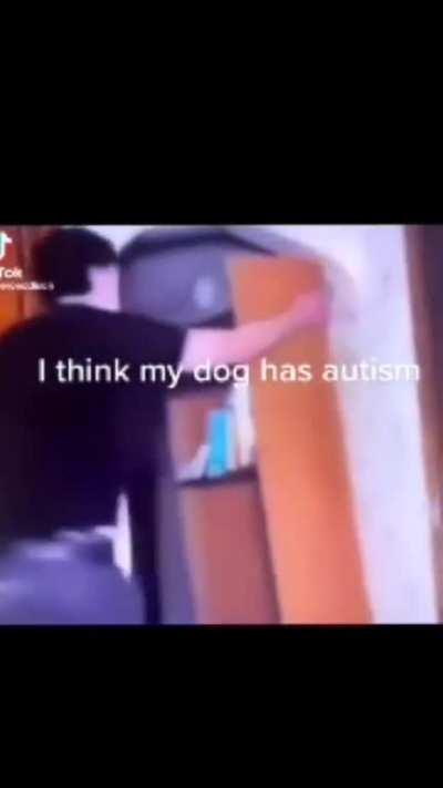 Iâm proud to announce the experiments were a success. We can now spread through animal vaccination as well. Those stupid NTs wonât be able to run much longer ððð