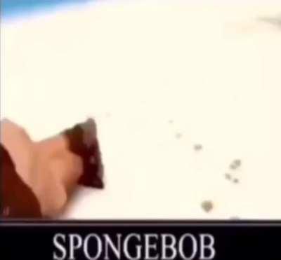 Sponbob