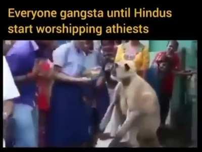 extomatos - Video #4335