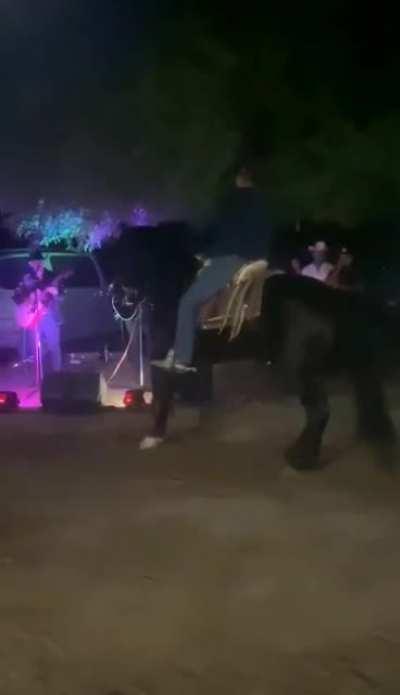 Dancing horsie