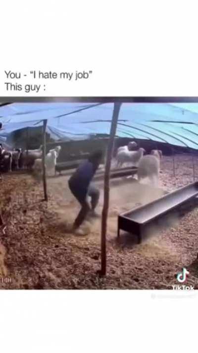 Bro getting bullied at this point 😭😭