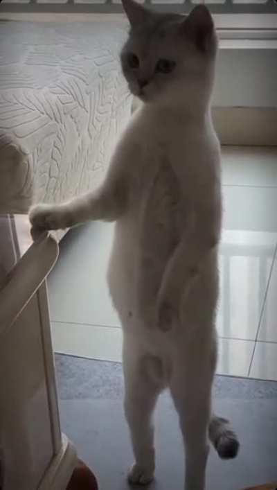 Просто задумался...