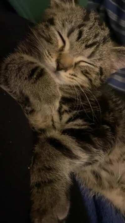 Prisoner worn down after long day in the yard