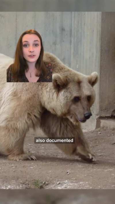 Hybrid Animals Are On the Rise: Here’s Why