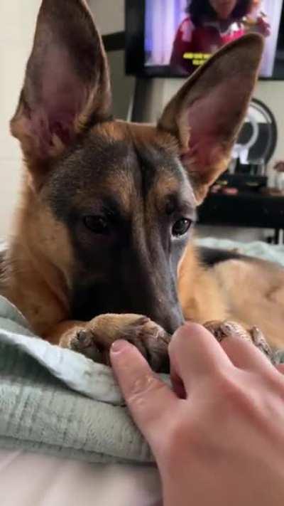 Sweet baby ❤️ 8m female