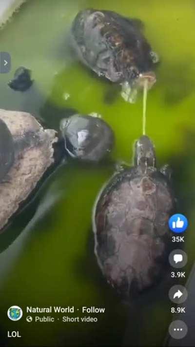 I'm sure they deserved it