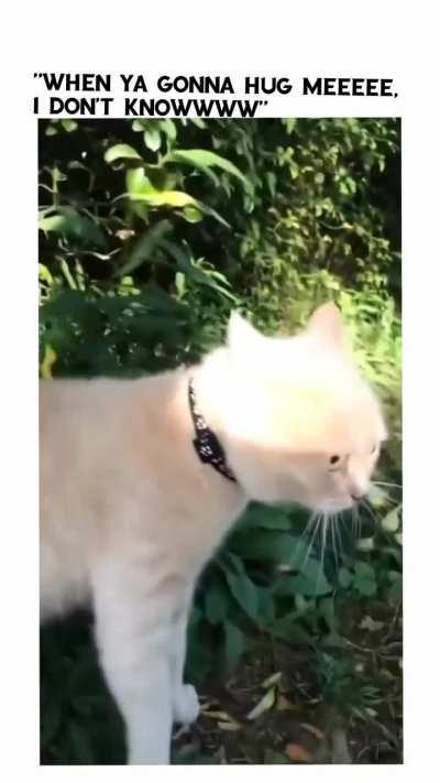 wunk don't knowww!!!!!