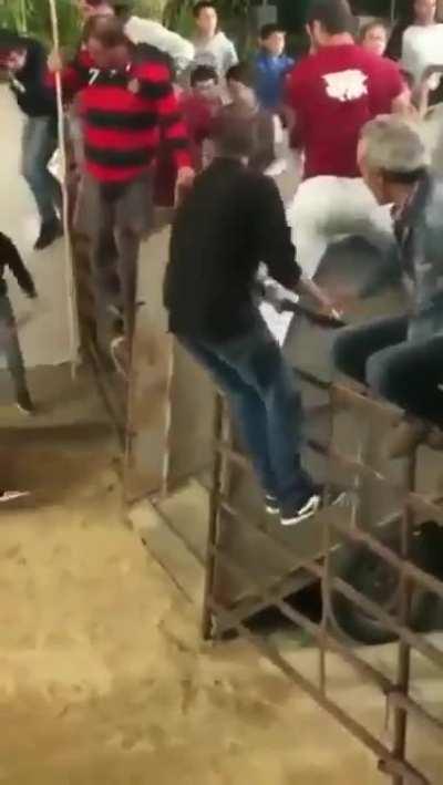 Romo tried to give a little helpful slap to get the bull up the step