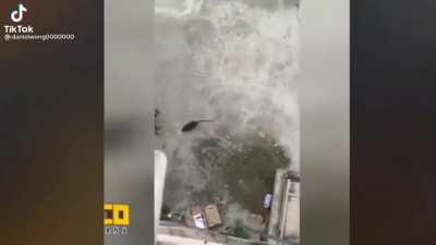 Predator Missile ......