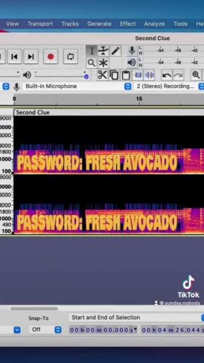 Impossible treasure hunt: solved by the world's smartest 19 year old