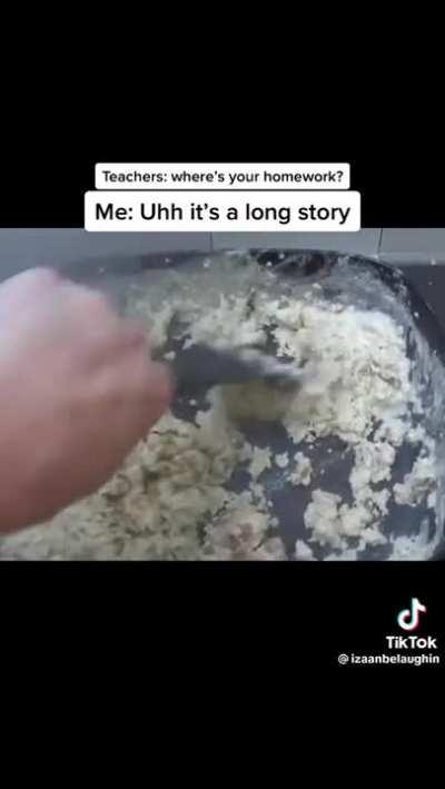 I liked when this sub was just memes