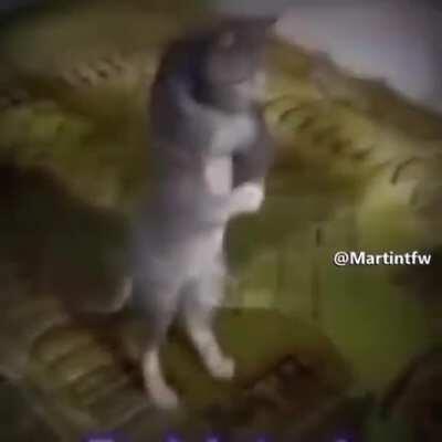 ZargoryanGalaksisi - Video #4422