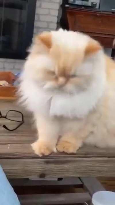 Stop counting calories