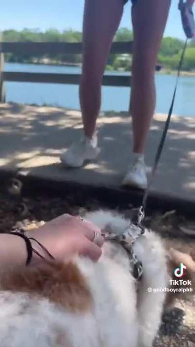 Just answer one question on the screen please