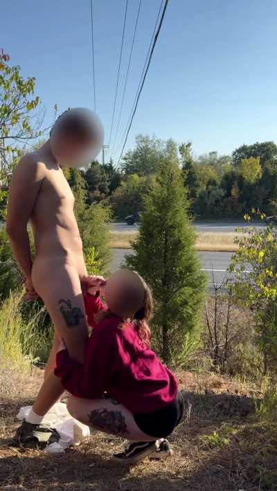 How many cars do you think saw?