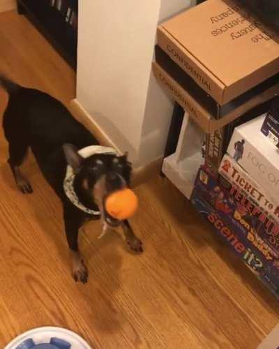 Murph is excited about his ball