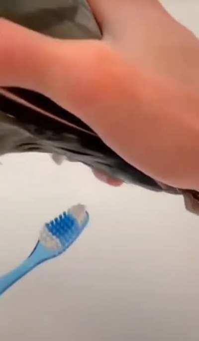 Thanks, I hate toothpaste.