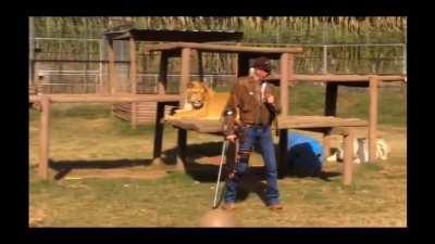 Libertarianism in a nutshell