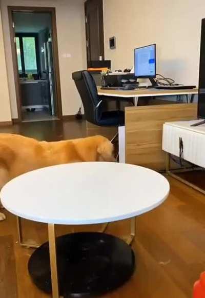 scriptedasiangifs - Video #0038