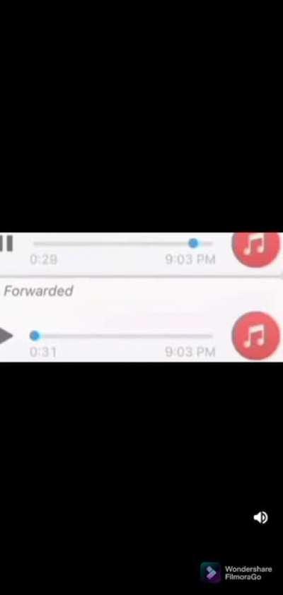 Bhartiya BGMI wala , Chicken dinner lane gaya tha bechara ek leg piece bhi nahi la paya