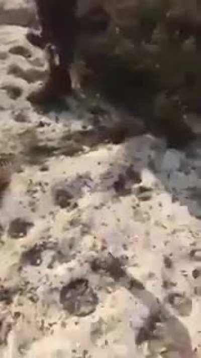 when you hit the edge of the map