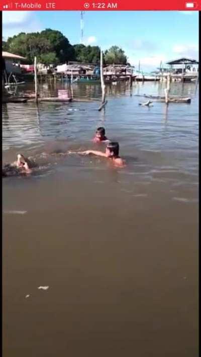 Seriously? A CROCODILE???