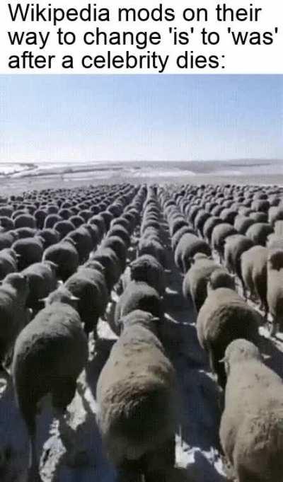 Speedrun 'Edit Page' World Record