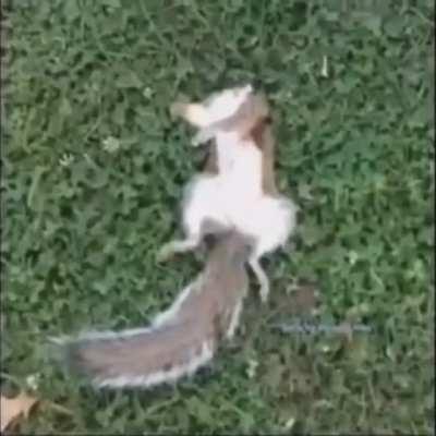 Apparently it's my 10 year cake day today. Here's to another 10 years of memes