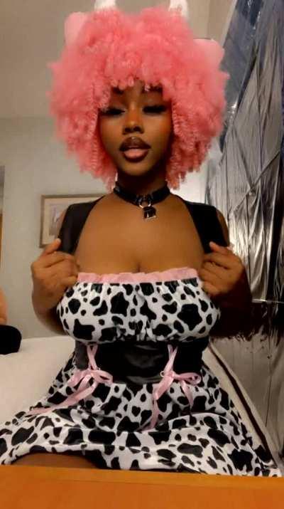 Cow with some big milkers