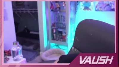 Some people were asking for the shorter version of the Vaush drunk stream meme, here it is