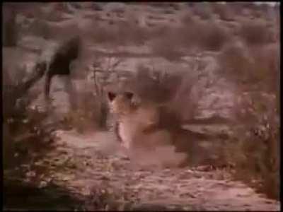 –Me: My ancestors were hard workers –My ancestors: