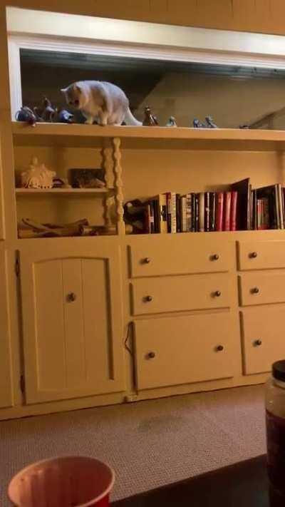 She gave it an attempt but MISS!