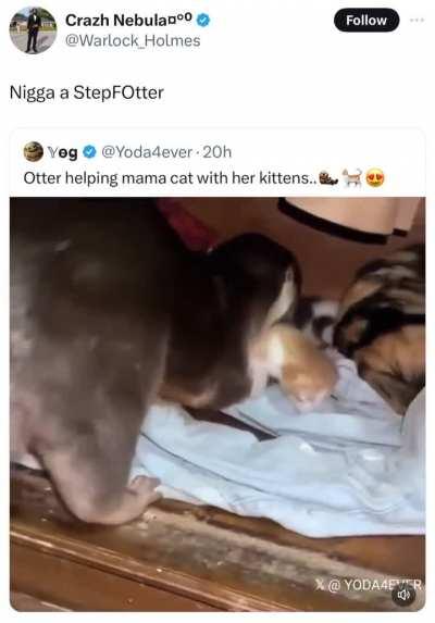 They’re the fotter that stepped up