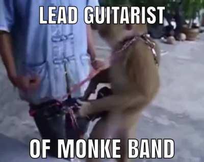 Monke Band now has guters 🐵