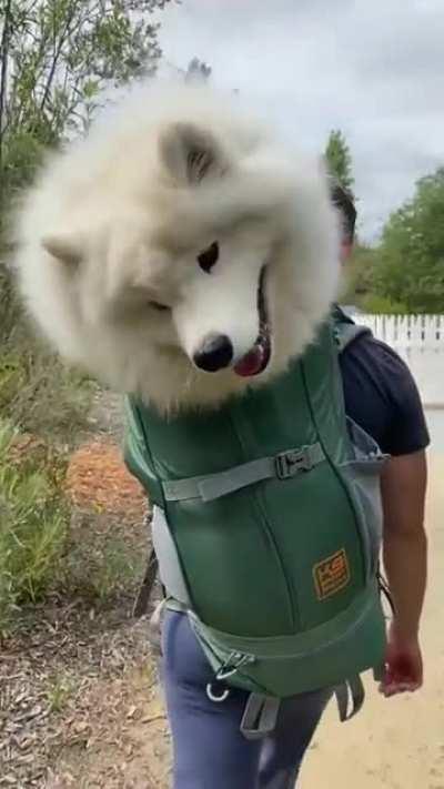 GGG can we get this as back MTX?