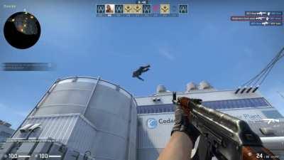 These new Ragdolls are something