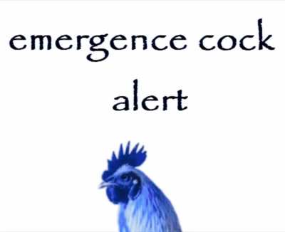 emergence cock alert.gif