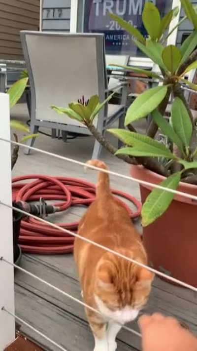 I’m sick of politics. My neighbors are still yelling about the debate.