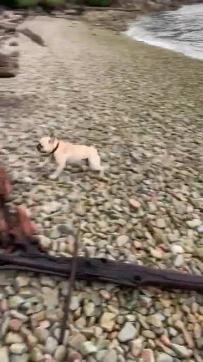 Maximum derp mode activated