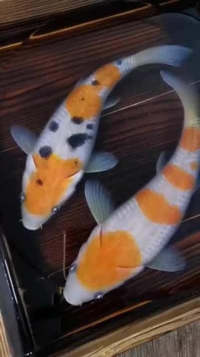 Satisfying Resin Art