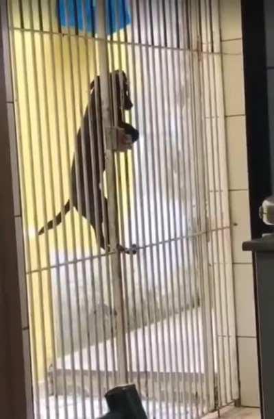 i can't stop laughing