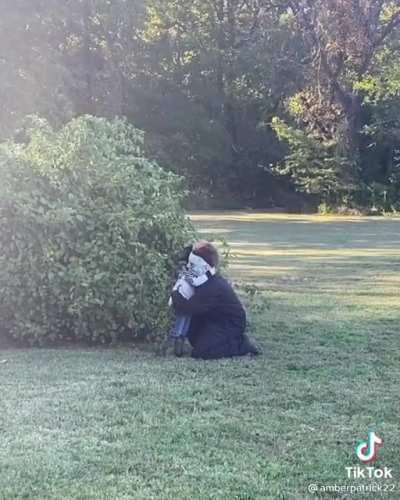 Бей или беги