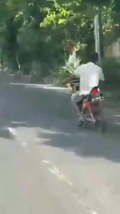 WCGW going on the opposite side of the road...