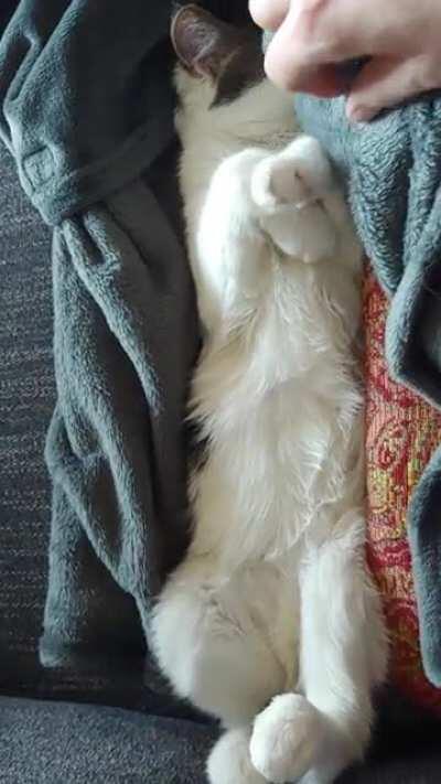 Bryce would like his naps undisturbed, please!