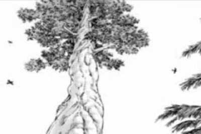 ellen fertilizer 😢😢😢