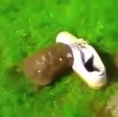 HUEstation - Video #6888