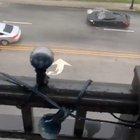 I live in Charleston, SC where it floods sometimes. People do stupid stuff when it floods, like drive their McLaren through deep water.