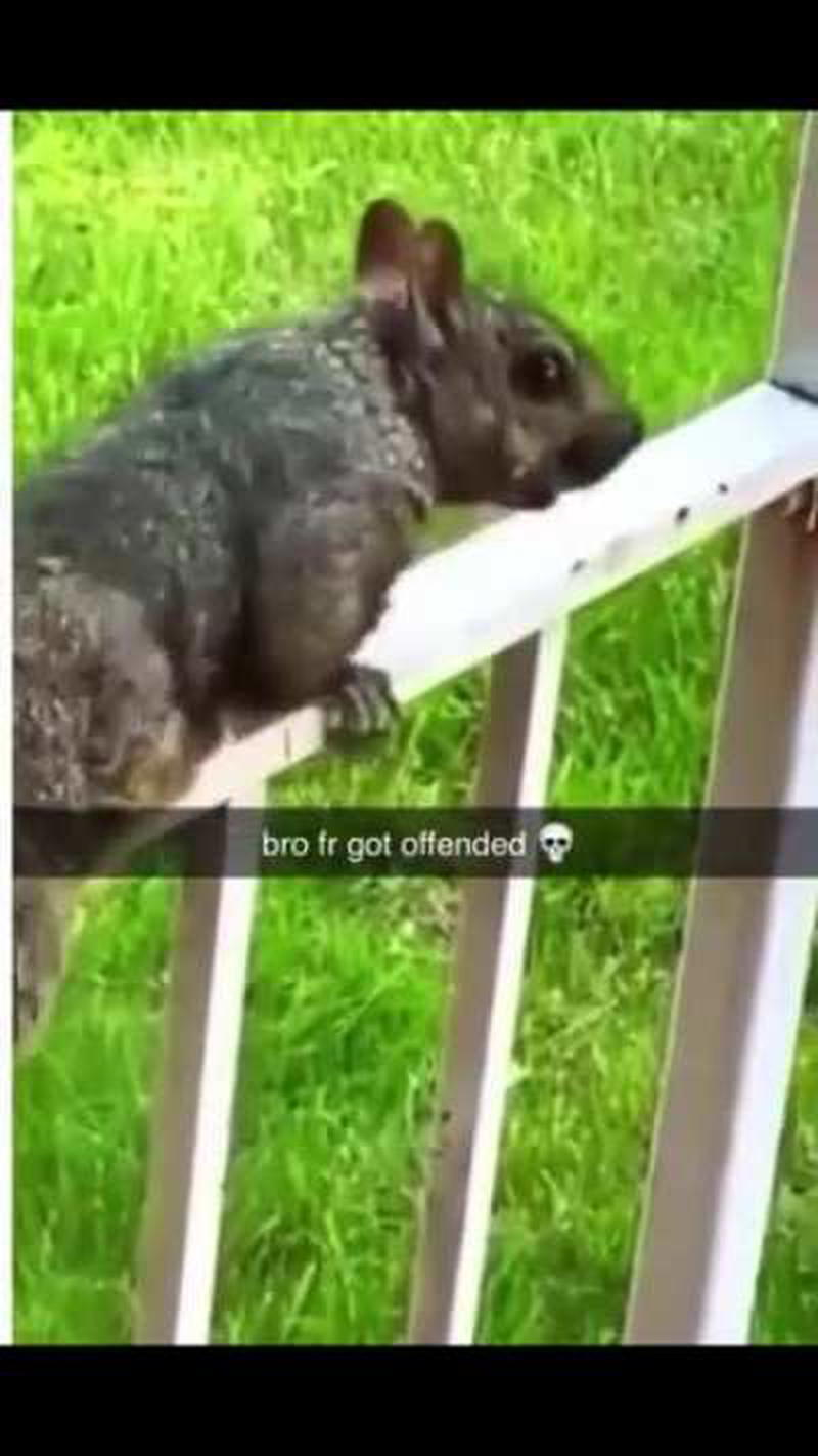 Who, me? Talking bout ME?!