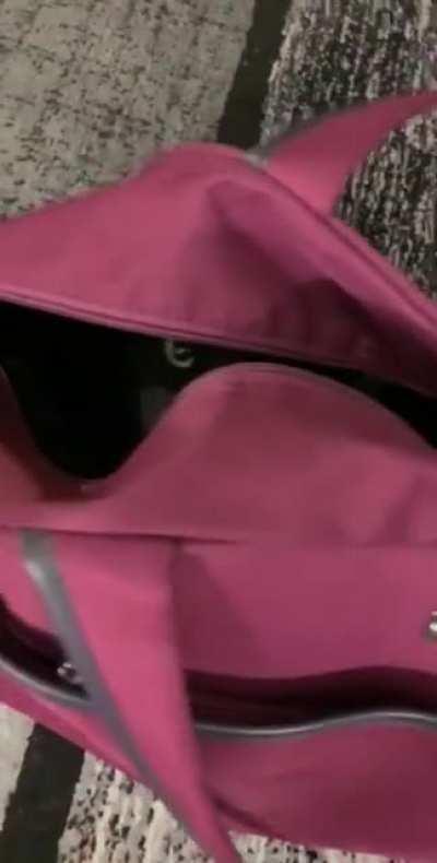 Murder caught on tape