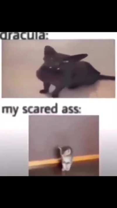 Count Wunkula (WUNKSCARE WARNING!)